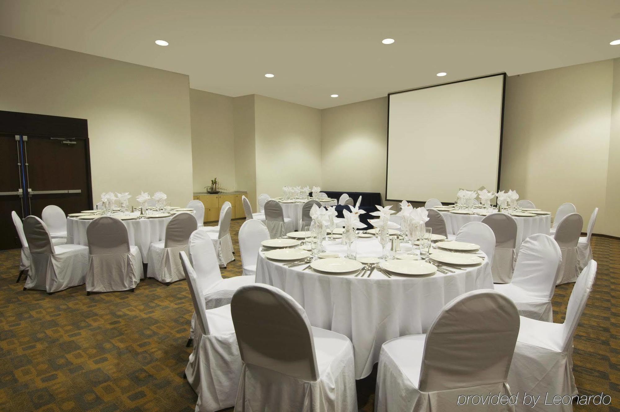 Fiesta Inn Insurgentes Sur Meksyk Zaplecze biznesowe zdjęcie